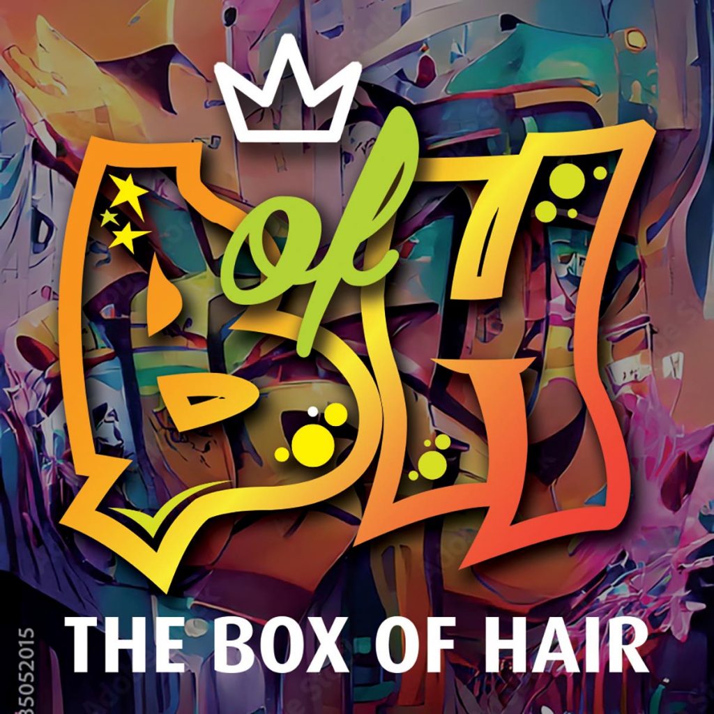 A logo design for The Box of Hair - mobile hairdressers in a horse box