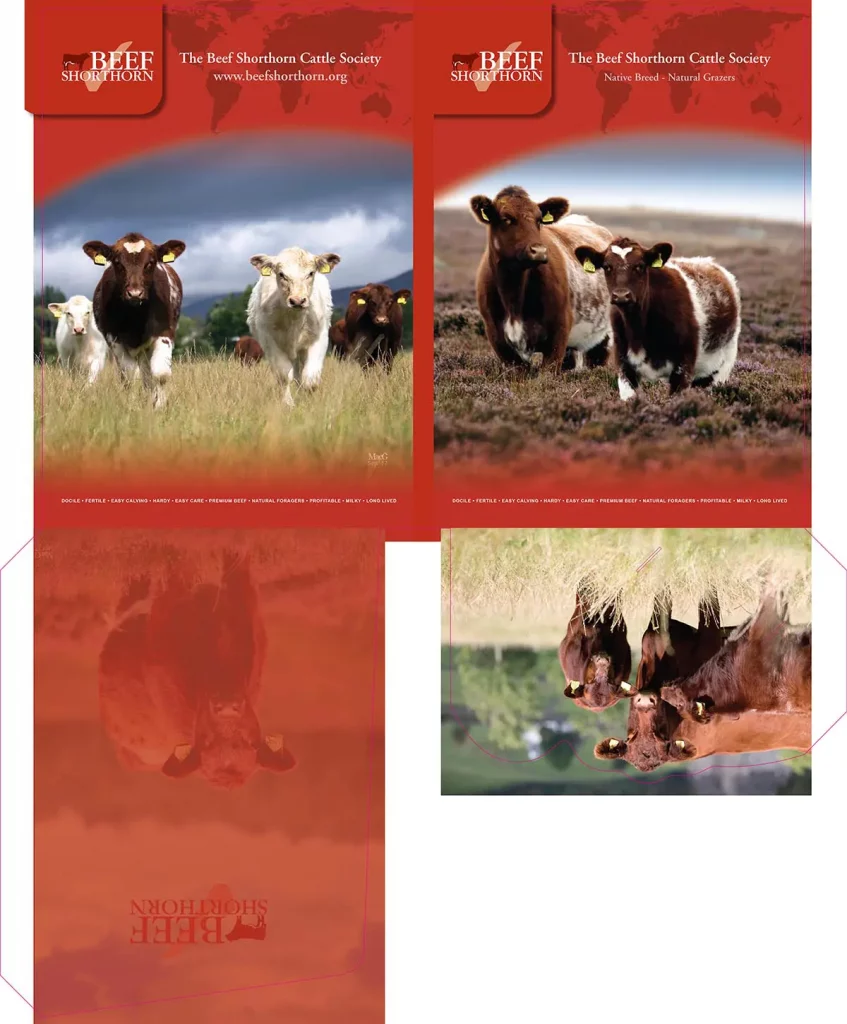 Beef Shorthorn Folder 2017