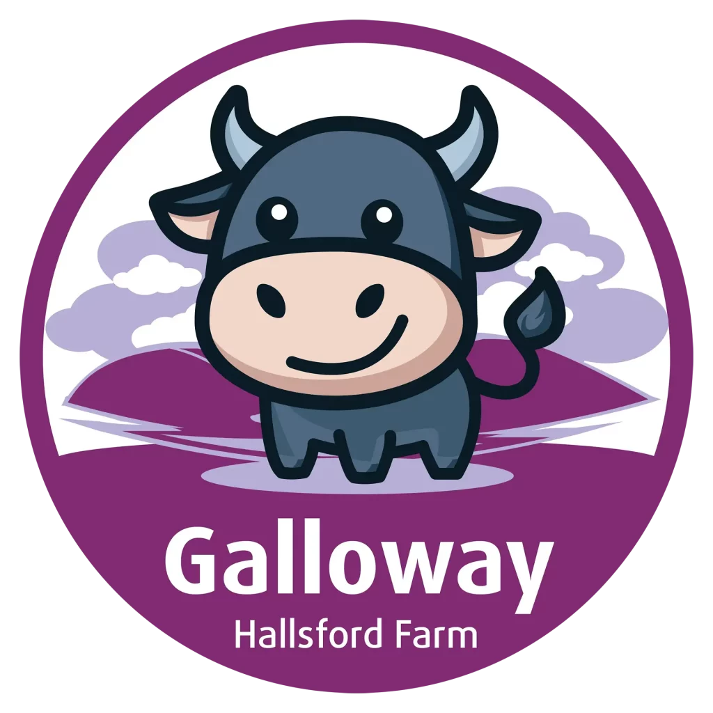 Hallsford Farm Galloway sticker used when that breed of beef goes to farmers' markets