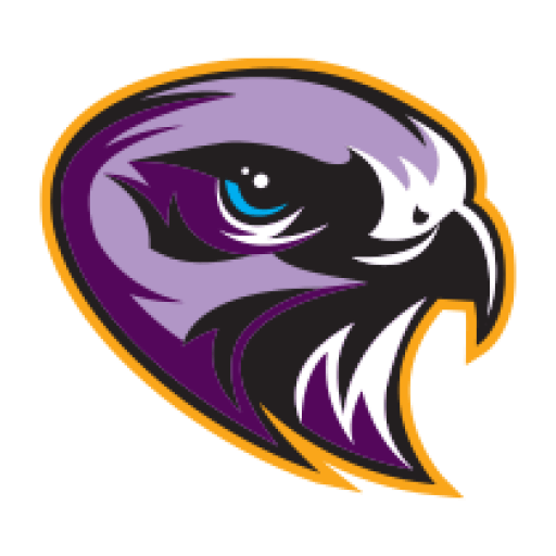 Hawk logo back to home